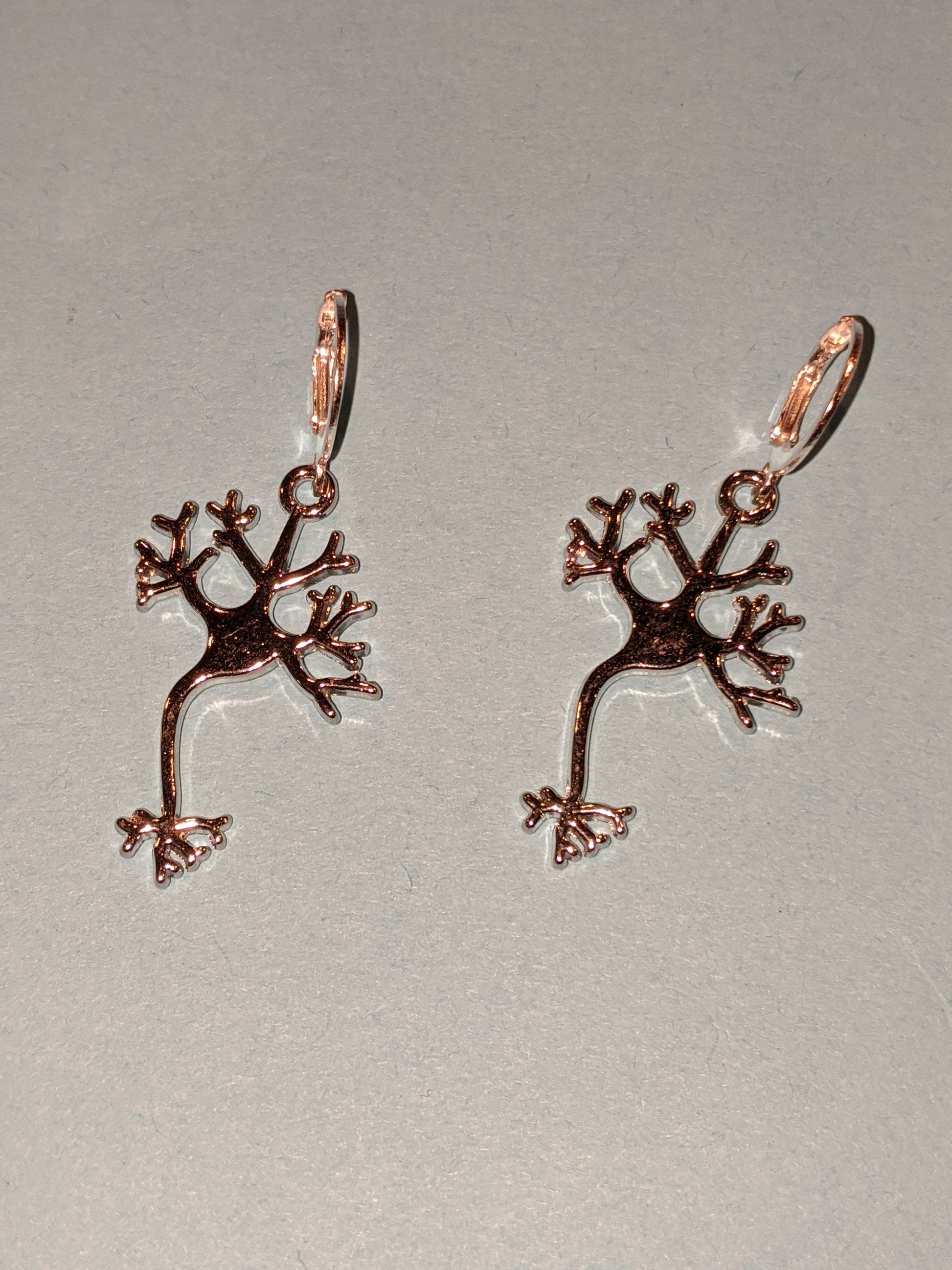 Silver neuron charms on lever back ear wires